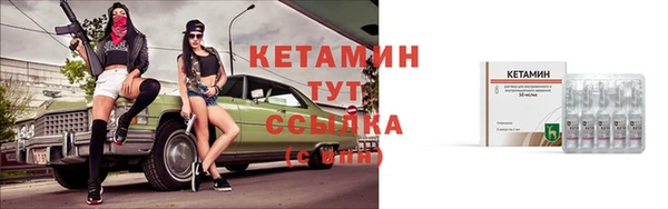 крисы Абаза