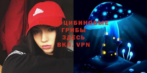 бошки Алексин