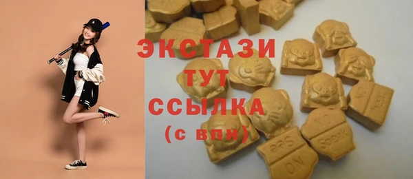 крисы Абаза