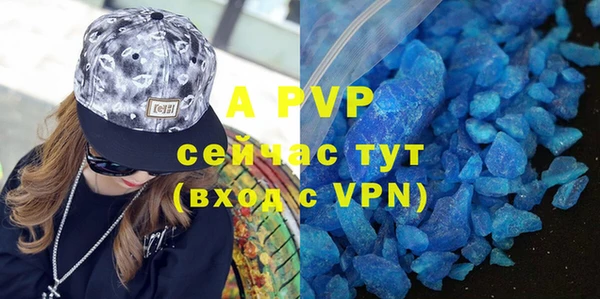 крисы Абаза