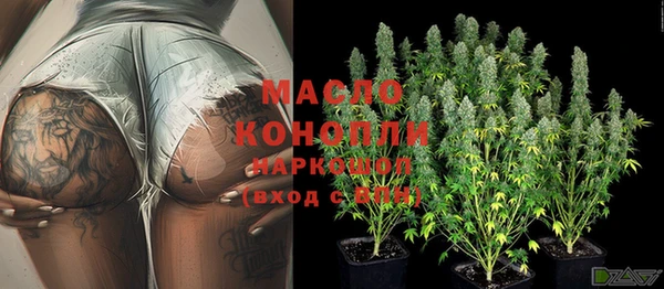 крисы Абаза