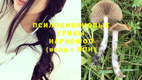 тгк Абинск