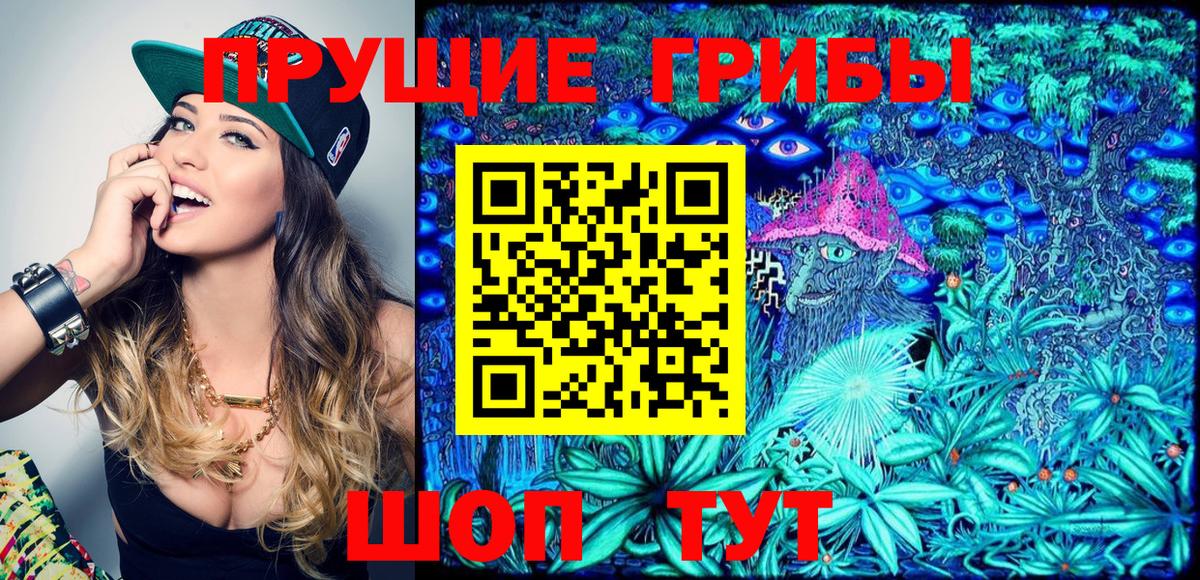 Галлюциногенные грибы Magic Shrooms  Псилоцибиновые грибы GOLDEN TEACHER  Вход с VPN  Нальчик 