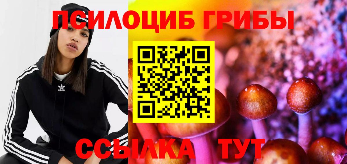 Псилоцибиновые грибы мицелий Нальчик